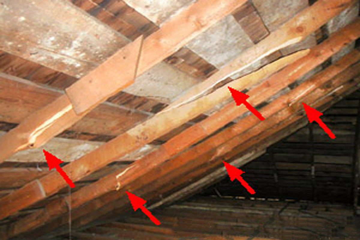 Defect Pics from inspections