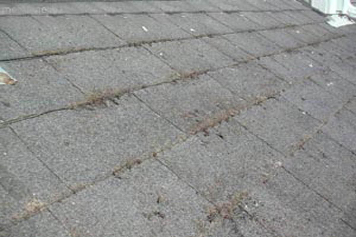 Defect Pics from inspections