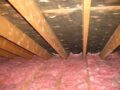 Mould in Attic