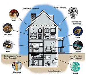 Indoor Air Collection Services by Barrie Home Inspections