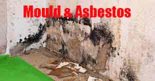 Mould-and-Asbestos-Testing