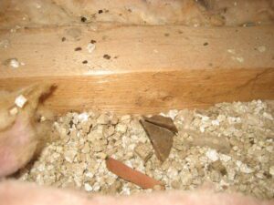 vermiculite insulation in attic 