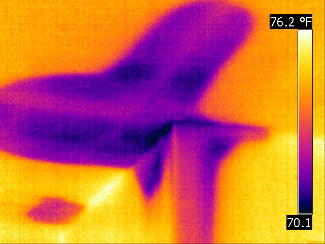 Thermal Image of Ceiling Water Intrusion found by Barrie Home Inspections