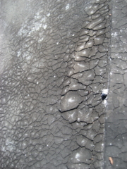 Flat Roof has Alligatoring of Tar Seal found by Barrie Home Inspections