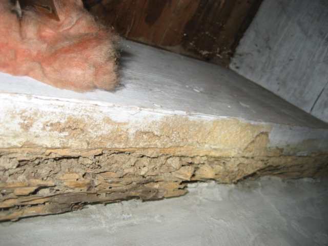 Support Beam Damaged by Termites found by Barrie Home Inspections