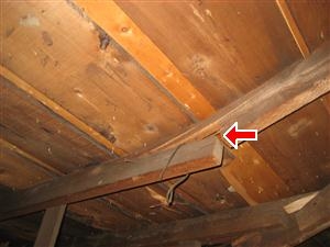Cut Rafter in Attic found by Barrie Home Inspections