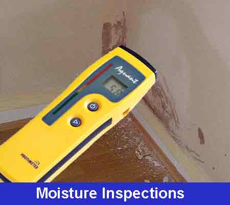 Moisture-Detection-Inspetions