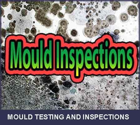 Mould-Testing-and-Inspections