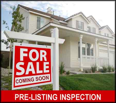 Pre-Listing-Inspection