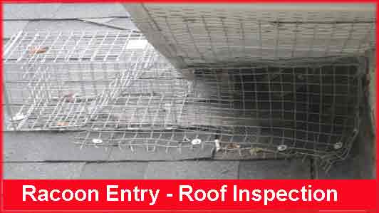 Rodent Protection at soffit area of roof Rodent Protection at soffit area of roof