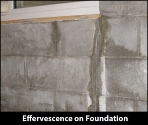Effervescence-on-Foundation-Wall