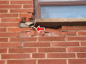 water-damage-to-bricks water-damage-to-bricks